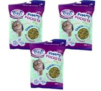 Yummy Cat Treat Pockets - Salmon, Chicken, Catnip & Tuna 3 Packs, Mixed 4-Pack Bundle | Soft Filled Snacks | Healthy Treats Zvire (Pack Of 3, Yummy Cat Treat Pockets w/Catnip 100g)