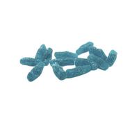 Yummy Gummy Fizzy Blue Raspberry Bottles | 900g Tub | Bold Berry Zing