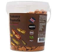 Yummy Peanut 400 Gram Bucket - Available in 10 Flavours - Allergen Free, Sustainable, Gluten Free Cholesterol Free (Dry Roasted, Any 3 Pot)