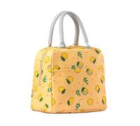 YumSur Lunch Bag Insulated Tote Bag Lunch Box Resuable Cooler Bag Lunch Container Waterproof Lunch Holder for Women,Men,Student and Kid
