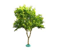 Yunhgft Artificial Miniature Cherry Tree for Dioramas, Gardens, Centerpieces, Dashboard Ornaments, Miniature Model, green, 11.5cm
