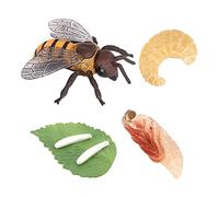 Yunhgft Realistic Plastic Animals Life Cycle Model Toy Cycle, Bee