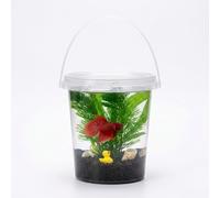 Yunhgft Self-Circulating Desktop Fish Tank, No-Maintenance Mini Aquarium Kit Portable Bottle, for Micro-Landscape Display, Large Horsetail Betta Fish Ecological Bottle with Aquatic Plant Mud