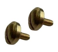 Yunhgft Set of 2 Saxophone Thumb Rest Mounting Screws, Replacement Part, Firm Metal Bracket