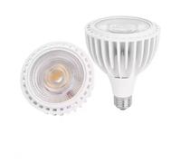 YUNKEPBCBM 2 Pack PAR30 E27 20W 25W Plant Grow Light Bulbs, 3000K AC 100V 110V 220V 240V for Indoor Greenhouse Gardening(E27-20W)