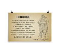 Yunking Viking Warrior Poster Inspirational Inspirational Quotes Poster I Choose To Be My Tin Sign, Home Wall Decor, Vintage Metal Tin Sign 12 X 8 Inches, A For Family, Friends, Neighbors.