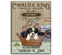 Yunking Vintage Metal Sign Cavalier King Charles Spaniel Laundry Sign 8x12 inch