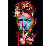 YUNLINZI DIY Paint by Numbers for Adults Beginner David Bowie Colored Portraits 16 x 20 inch Oil Painting with Brushes and Acrylic Pigment Toy Hand-Painted Gift Wall Art Decor -with Frame
