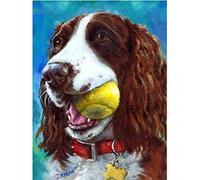 YUNLINZI DIY Paint by Numbers for Adults - Springer Spaniel Dog Tennis Linen Canvas Acrylic Stress Less Hand Painted Gifts Home Decoration