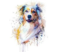 YUNLINZI Diy Painting By Numbers Kits For Kids Adults Beginner, Australian Shepherd Portrait 40X50 Cm Linen Canvas Oil Painting For Bedroom Living Room Wall Decoration Hand Painted Gifts