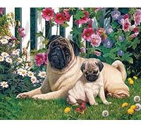 YUNLINZI Paint by Numbers for Adults Children Two pugs dog DIY Painting for Adults Beginner Level with Brushes and Acrylic Pigment 16x20 Inch home Decorations Gift -with frame