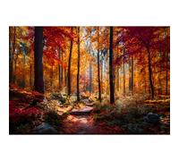 Yunlus Jigsaw Puzzles for Adults 1000 Pieces Puzzles Impossible Hard Difficult Challenging Puzzles for Teens Autumn Maple Leaves Forest Landscape Jigsaw Puzzle 1000 Pieces 28 x 20 inch