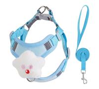 Yunmeryker Cat Harness and Dog Harness Set with Small Dog Leash and Cat Leash, Reflective Polyester Flat Rope Outdoor Pet Gear for Small to Medium Dogs, M (7-13 catties)