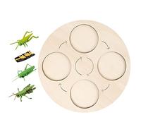 Yunmeryker Life Cycle Board Wooden Educational Toy Puzzle Learning Aid Teaching Material Growth Cycle Introduction for Preschool Early Education Children's G, Cricket