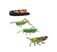 Yunmeryker Locust Life Cycle Set Simulation Model for Children Kids