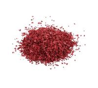 Yunmeryker Simulation Leaves 35ml Miniature Leaf Model Diorama Landscaping Realistic Resin for Railway Model Architecture Fairy Garden Craft Design, Red