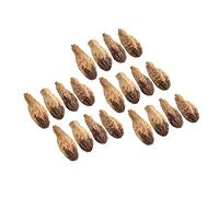 Yunseity Home Decorative Dried Nut Attracts Parrots Attention Chew Nuts, 5 Bag X 20Pcs