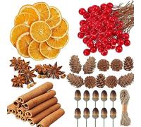 YUNSTK 225 Pcs Christmas Wreath Making Supplies, Dried Orange Slices and Cinnamon Sticks, Star Anise, Red Berries Mini Pine Cones Kit, Wreath Accessories Floral Supplies for Xmas Craft Decorations