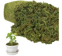 YUNVI 17.6 OZ Large Capacity Artificial Moss for Potted Plants,Natural Artificial Moss Grass for Fake Plants Indoor,Craft Moss and Greenery Bulk,Forest Moss for Hamsters(Fresh Green)