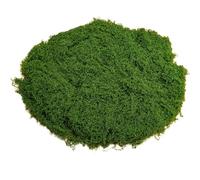 YUNXIASW Artificial Moss 50g - Realistic Looking Faux Lichen Plants