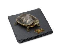 Yuomeaz Reptile Basking Platform, 4 * 4in Square Tortoise Rock Plate, Turtle Feeding Food Bowl Feeding Slate, Turtle Bathing Resting Platform for Tortoise Habitat Accessories