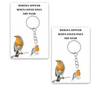 Yupaluz 2 Pcs Robin Keyring Set, Robin Gift With Condolences Card Robins Appear When Loved Ones Are Near,Robn Keyring For Grief, Remembrance Gifts For Loss Of Grandma Friend