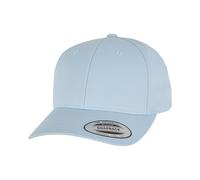 Yupoong Unisex Adult Flexfit Classic Curved Snapback Cap RW8639