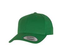 Yupoong Unisex Adult Flexfit Classic Curved Snapback Cap RW8639