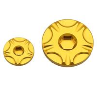 YUPPP Motorcycle CNC Oil Filter Cover Protect Cap Engine Timing Bolts Set Compatible With RMZ250 RMZ450 RMX450Z 2005-2016 2017 2018 2019 .hy19(Timing Bolts Set)