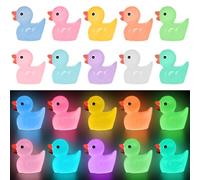 Yuronam 70 Pcs Luminous Tiny Ducks Mini Resin Ducks Glow in The Dark Duck Miniature Ornaments for Slime, Dollhouse, Garden Decoration(Multi Colors)