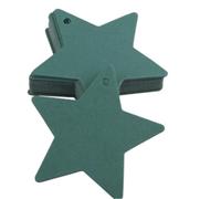 Yurosiay 100 Star Shaped Gift Tags, Brown Kraft Paper Tags with 10 Metres of String, Suitable for Wedding Gifts, Jam Jars, Price Labelling and DIY Projects, Dark Green