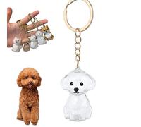 YUSAVHO Dog Hair Collector Keychain, Pet Memorial Keepsake, Pet Hair Storage Fur Locket, Personalized Dog Hair Pendant Memorial Gifts for Pet Lovers（Teddy Dog）