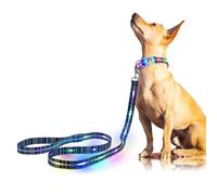YUSHANG Light Up LED Dog Leash for Medium Large Dogs - Rechargeable, 5 Ft, 3 Lighting Modes for Walking at Night (L:1.5m/W:25mm)
