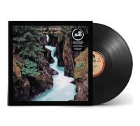 Yusuf / Cat Stevens - Back to Earth [VINYL]