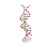yuwqqoajv Educational Learning Double Structure Models Kit Innovative Teaching Aid To Understanding Of Biology Concepts Biological Science Popularization