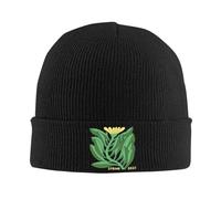 YUWTTDG Knitted Beanie Hats Phish Spring Tour 2025 Dates Flower Bonnet Spring Y2K Cool Female Male Hip Hop Thermal Elastic Cap Stretchy Soft Holiday or Birthday Gifts