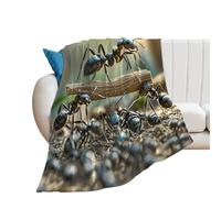YUXBVKRS Ant Bridge Blanket 130×150 cm, Soft Cozy Flannel Printed Throw Blanket for Couch Bed Home Decor