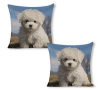 YUXBVKRS Bichon Frise Dog Printed Cushion Covers 18x18 Inch Linen Pillow Covers Modern Throw Pillow Cases for Sofa Decorations Outdoor Garden Easter Summer Party Home