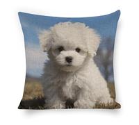 YUXBVKRS Bichon Frise Dog Printed Cushion Covers 18x18 Inch Linen Pillow Covers Modern Throw Pillow Cases for Sofa Decorations Outdoor Garden Easter Summer Party Home