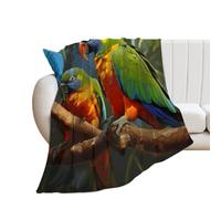 YUXBVKRS Bird Parrot Painting Blanket 130×150 cm, Soft Cozy Flannel Printed Throw Blanket for Couch Bed Home Decor