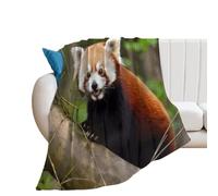 YUXBVKRS Little Red Panda Blanket 76×100 cm, Soft Cozy Flannel Printed Throw Blanket for Couch Bed Home Decor