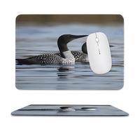 YUXBVKRS Mouse Pad with Stitched Edge, Rubber Small Mouse Mat, Loon Birds Printing, 7.9"x9.4" Inches, Waterproof & Portable for Office, Gaming, Study