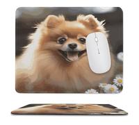 YUXBVKRS Mouse Pad with Stitched Edge, Rubber Small Mouse Mat, Pomeranian Dog Printing, 9.8"x11.8" Inches, Waterproof & Portable for Office, Gaming, Study
