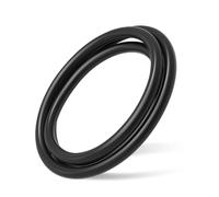 YuXuan Pavilion Replacement Hayward DEX2400K SwimClear Filter Tank O-Ring Compatible with Hayward DEX2400K for Micro-Clear DE, Pro-Grid DE, Super Star Clear and SwimClear Filters (1-Pack)