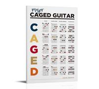YUYUMEGDE Caged Guitar Poster Decorative Painting Canvas Wall Posters And Art Picture Print Modern Family Bedroom Decor Posters 08x12inch(20x30cm)