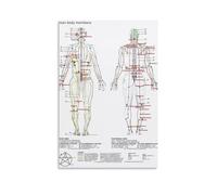 YUYUMEGDE Human Body Standard Meridian Acupuncture Massage Acupoint Map Poster Decorative Painting Canvas Wall Posters And Art Picture Print Modern Family Bedroom Decor Posters 12x18inch(30x45cm)
