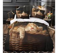 YVASPQRTW Cute kitten sleeping 3D Printing Duvet Cover 3pcs Microfiber Easy Care Bedroom Decor Cozy indoor scene Comforter Cover 2 Pillowcases Hidden Zipper Breathable Kids & Teens Single (135x200cm)