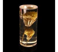 YWBL-WH Acrylic Table Eternal Flower Touch Switch USB Charging Bedroom (#2)