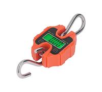 YWBL-WH Digital Hanging Scale, 250kg Mini Crane Scale with HD LCD Display and LED Backlit, 304 Stainless Steel Hook for Fishing Travel