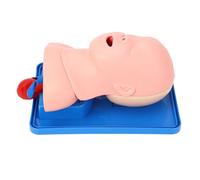 YWBL-WH Infant Intubation Trainer Realistic Pediatric Manikin for Airway Management Training in Schools,Nursing Schools PVC Material